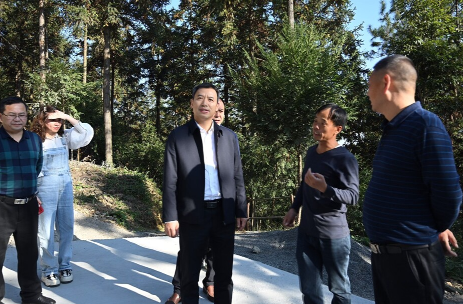 杨平来临调研承接2024年全国森林可持续经营试点工作现场推进会筹备工作