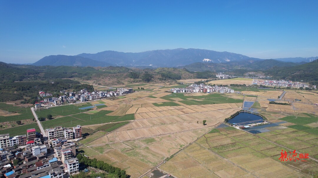 武水镇太和村：党建引领乡村振兴 共治共享绘就美丽家园