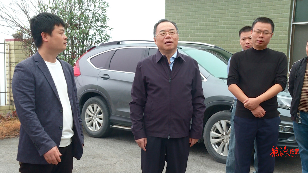 刘杨到重点项目现场调研：加快推进项目投产达效