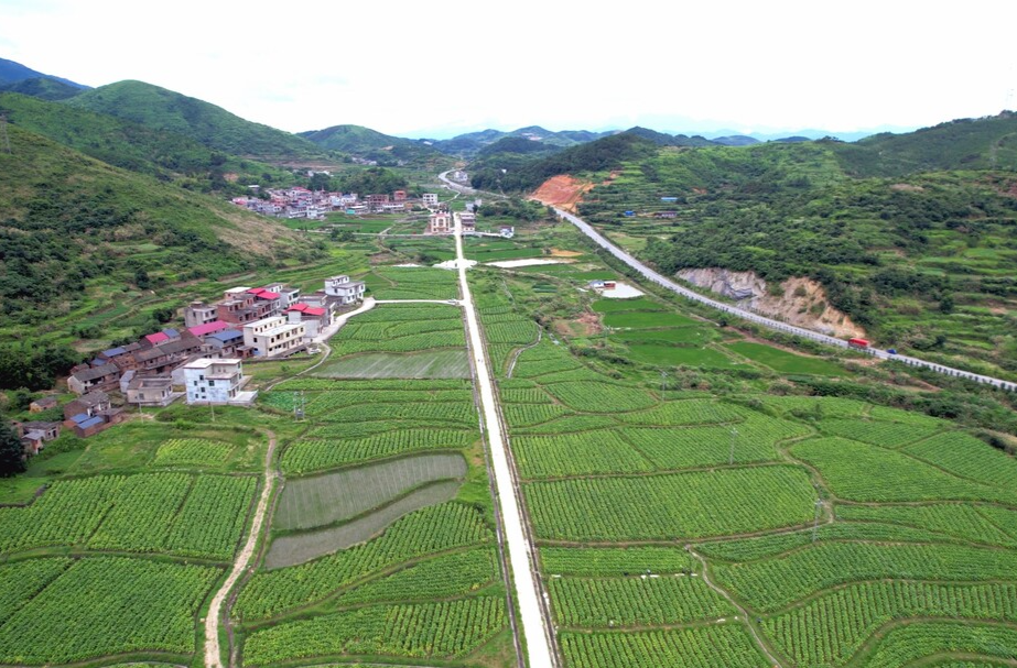 人民的代表 | 聚焦重点建议 破解民生难题