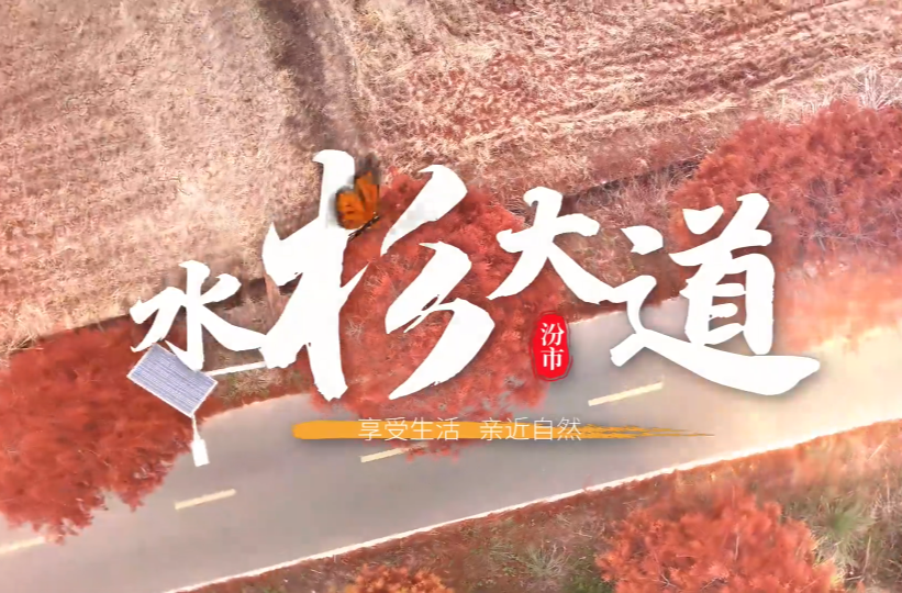 【学习强国】如画郴州｜冬日水杉红 乡村公路美