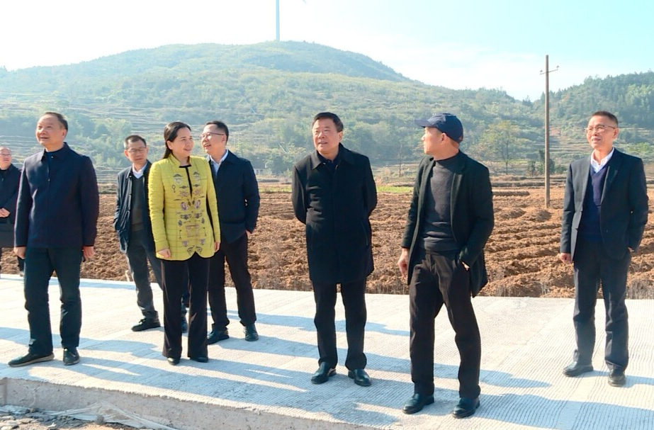 省人大常委会党组成员、副主任陈飞来临武调研走访