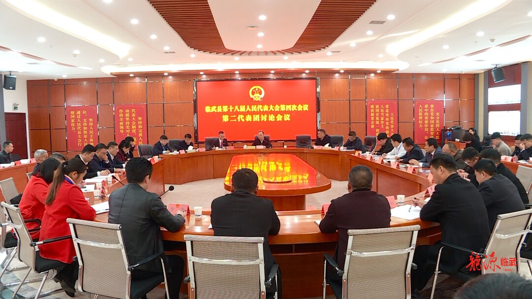 聚焦两会｜人大代表审议县人大常委会工作报告、“两院”工作报告