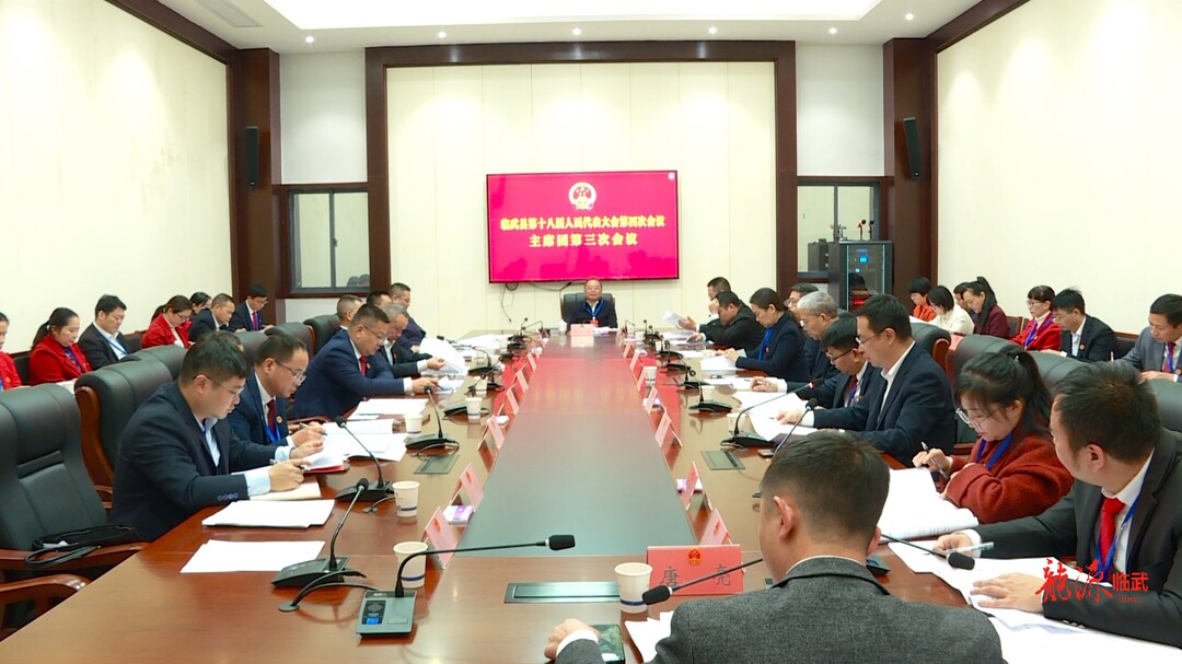 聚焦两会｜临武县第十八届人民代表大会第四次会议主席团第三次会议召开