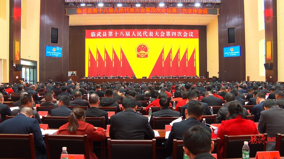 聚焦两会 | 临武县第十八届人民代表大会第四次会议举行第二次全体会议