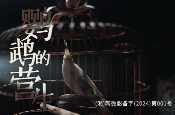 网络普法湘当过影丨第一集：鹦鹉的营生