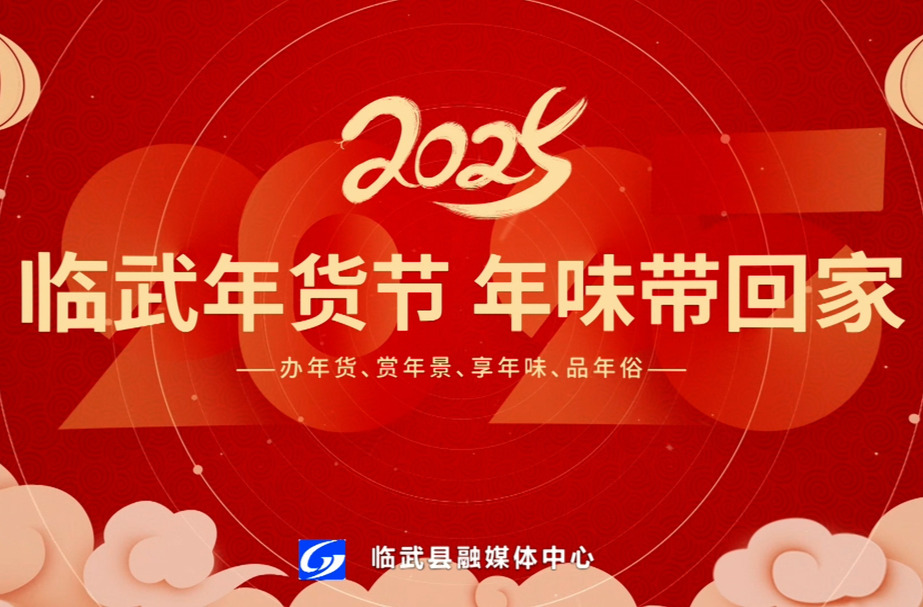 年货节、车展、招聘齐聚临武，新春欢乐享不停