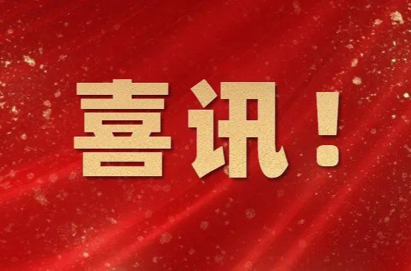 喜报！临武学子省赛显“机智”载誉归