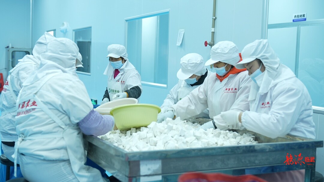 新春走基层｜临武县农业农村局：标准化检测室守护“年味餐桌”