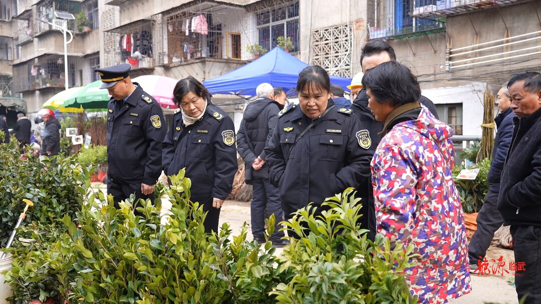 临武县农业农村局开展种子种苗市场专项检查