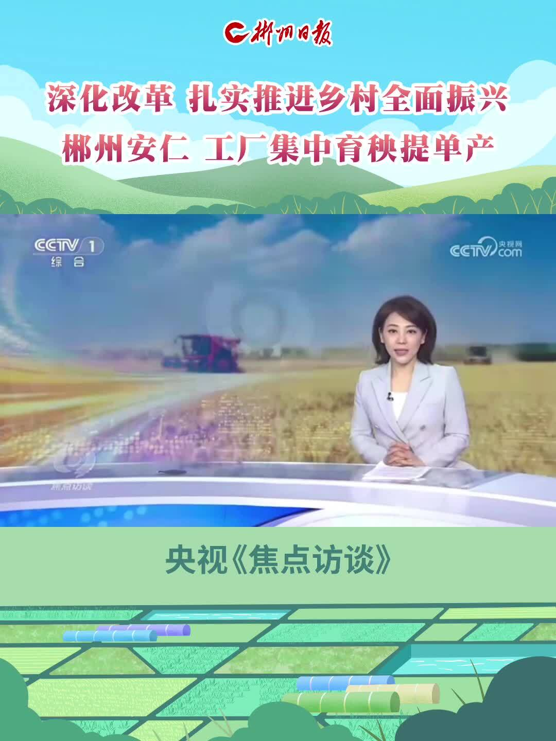 央视《焦点访谈》：郴州安仁   工厂集中育秧提单产
