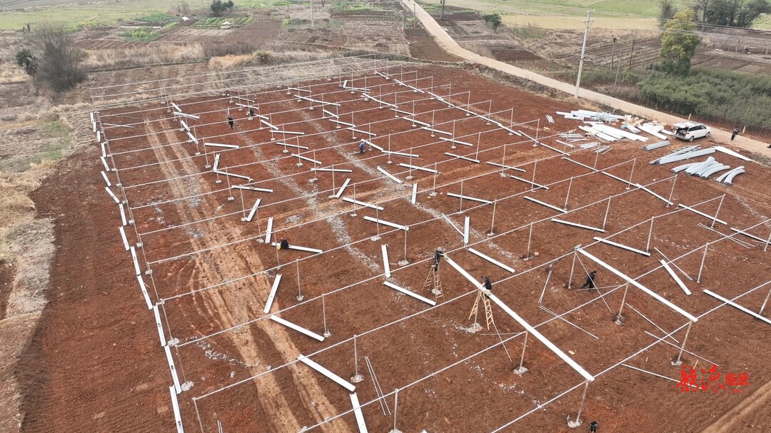 乡村新“号”角｜花塘：集中育秧大棚“撑”起粮食稳产新希望