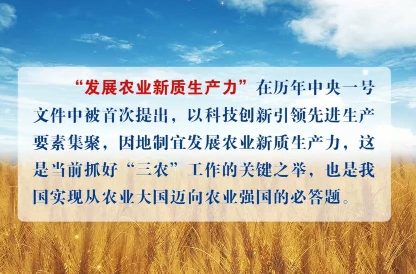 2025年中央一号文件要点速览