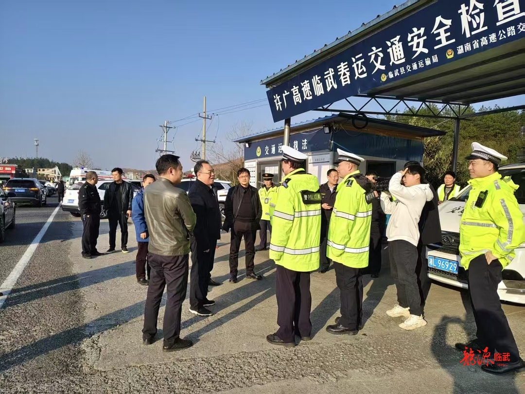 同心共绘“春运圆”——2025年临武县春运工作综述