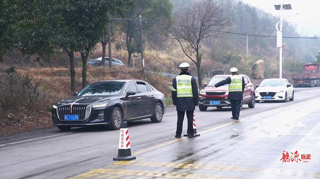 临武县开展2025年道路交通安全第三次联合执法及宣教行动