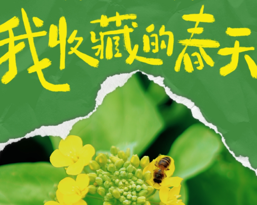 图集 | 我收藏的春天