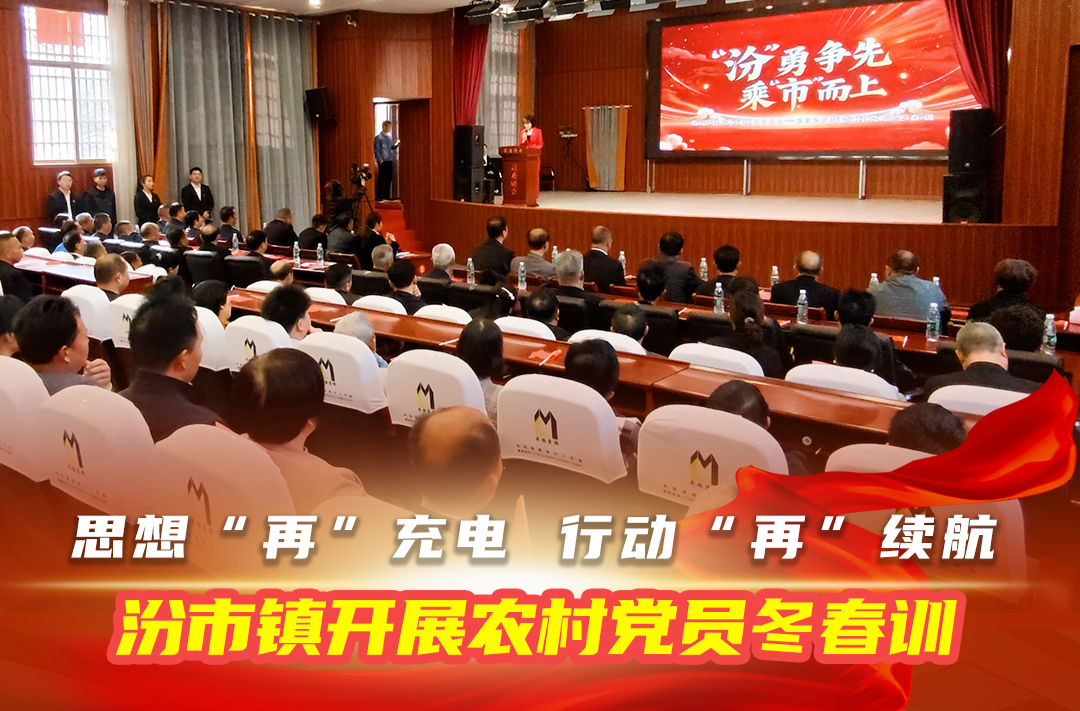 汾市镇开展农村党员冬春训:思想“再”充电 行动“再”续航