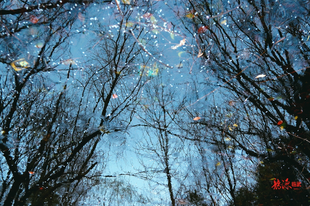 图集 ｜ 雨中即景律动诗