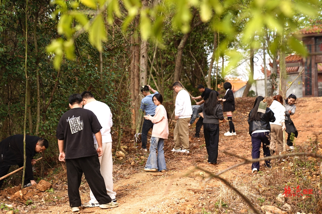 临武县融媒体中心：植树添新绿 不负好时光