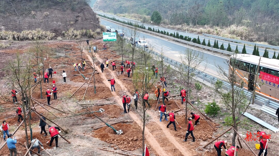 临武县组织开展义务植树活动：打造生态临武 共建美丽家园