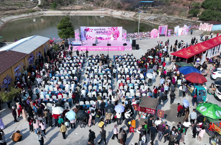 花开四季·相约临武｜临武举行2025年桃花旅游暨第一季青年联谊交友活动