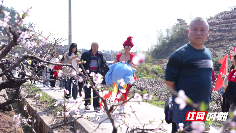 【红网时刻】春日桃林见证浪漫 临武青年联谊会解锁“文旅+社交”新玩法