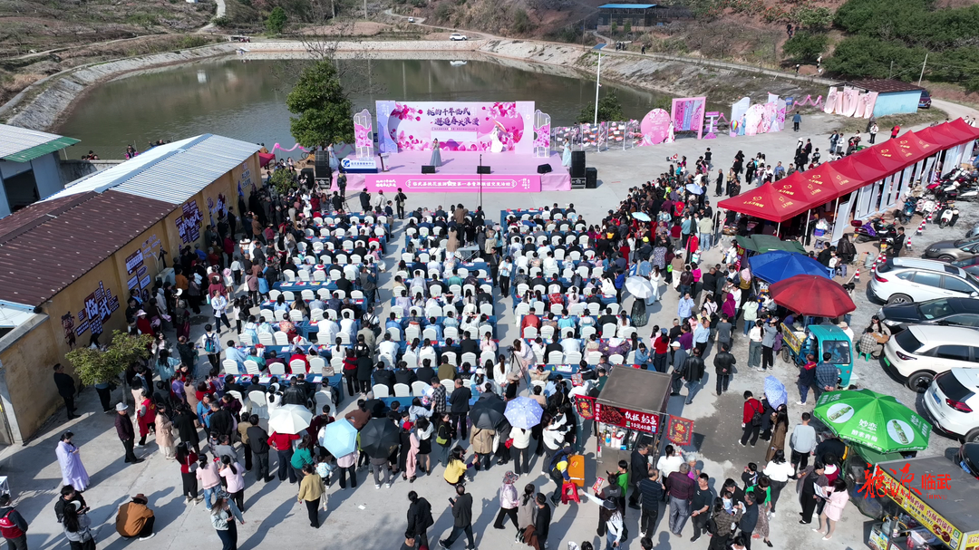 【新湖南】临武举行2025年桃花旅游暨第一季青年联谊交友活动