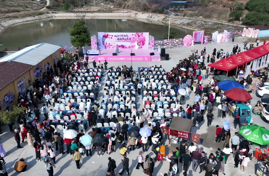 花开四季·相约临武｜临武举行2025年桃花旅游暨第一季青年联谊交友活动