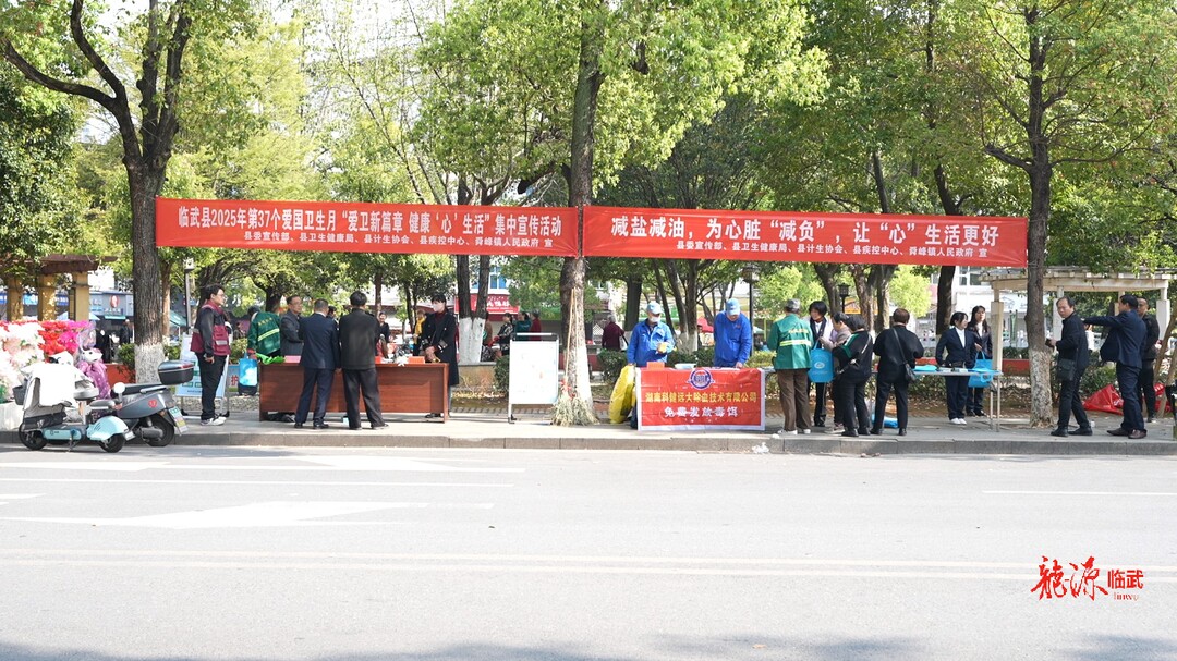 临武县开展减盐减油行动暨第37个爱国卫生月集中宣传服务活动