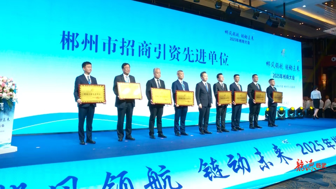 临武县2024年招商引资工作荣获市级“先进单位”称号