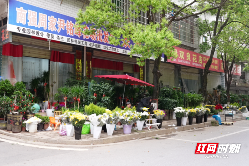 【红网时刻】文明祭祀新风尚｜临武：鲜花与“云端”寄哀思