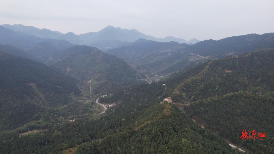 森防进行时 | 西山国有林场：打出防火“组合拳”  护得青山绿常在