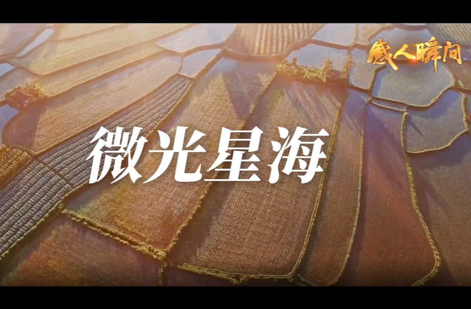 “感人瞬间”微视频｜微光星海