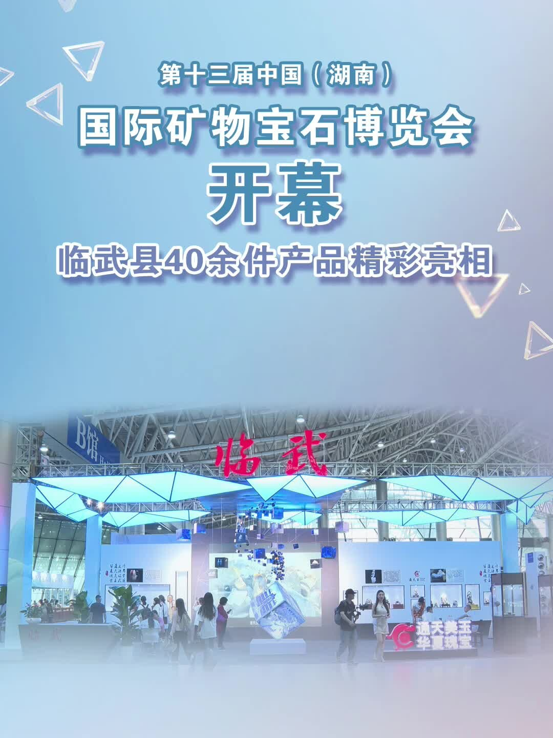第十三届中国（湖南）国际矿物宝石博览会开幕 临武县40余件产品精彩亮相