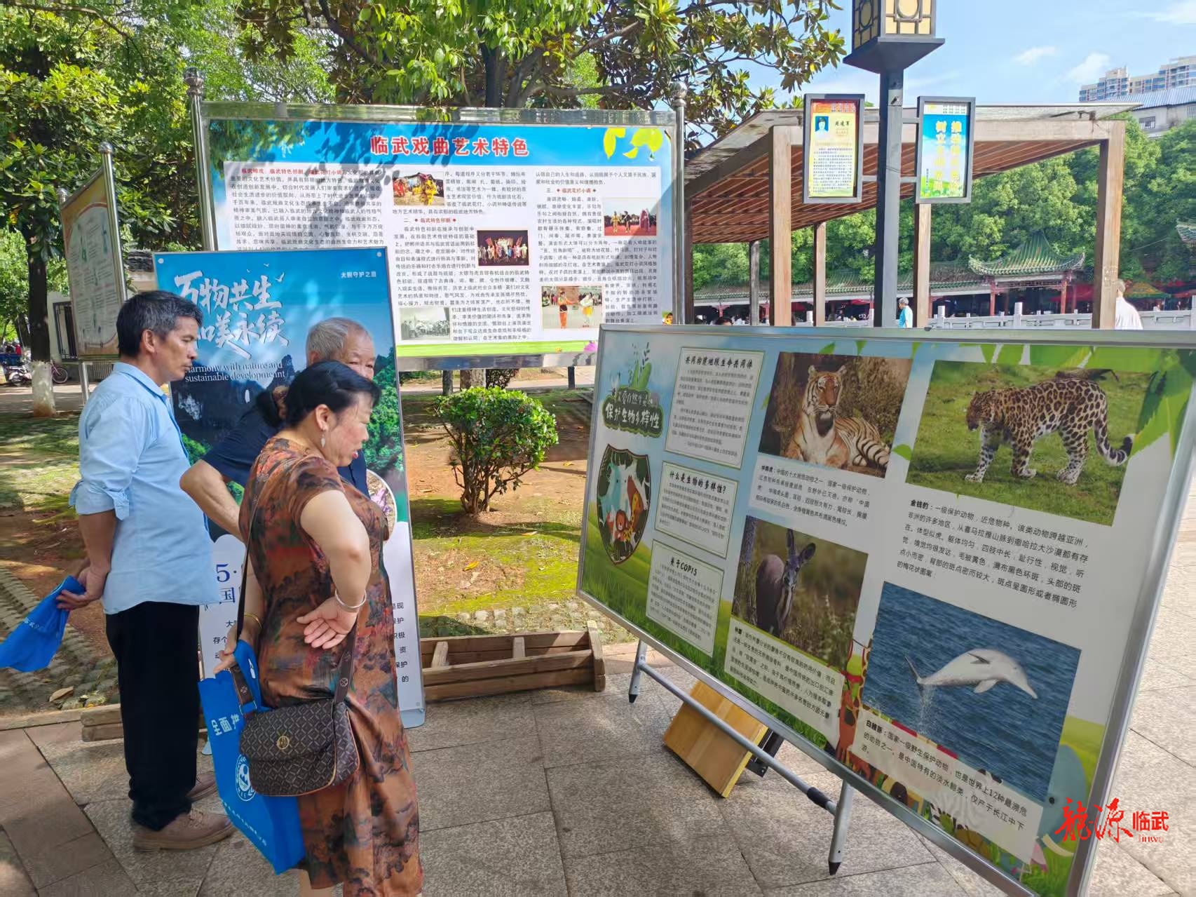 郴州市生态环境局临武分局开展国际生物多样性日主题宣传