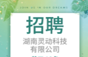 【招聘】湖南灵动科技有限公司