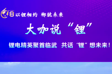 大咖说“锂”｜锂电精英聚首临武 共话“锂”想未来！