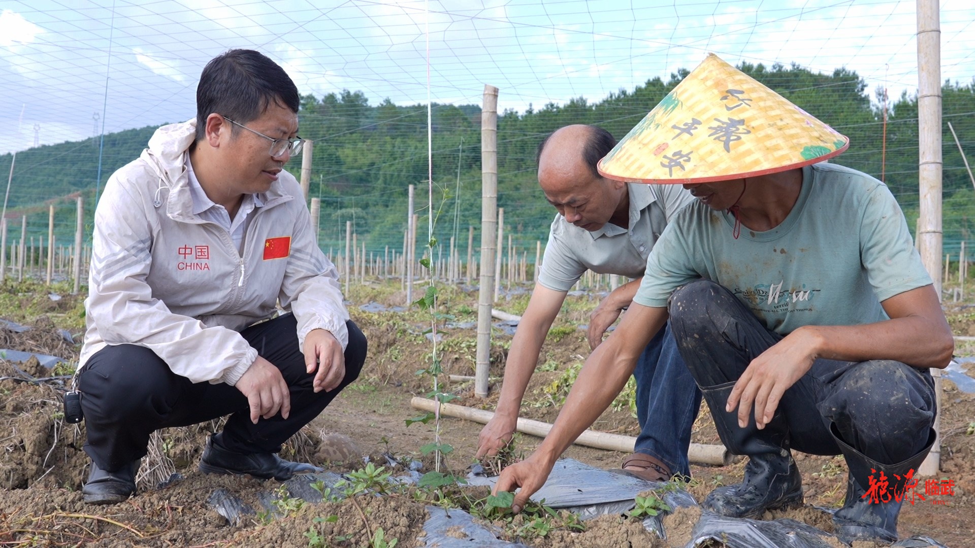 乡村新”号“角 | 汾市山塘：点“瓜”成金！百亩禁种田变生态致富园