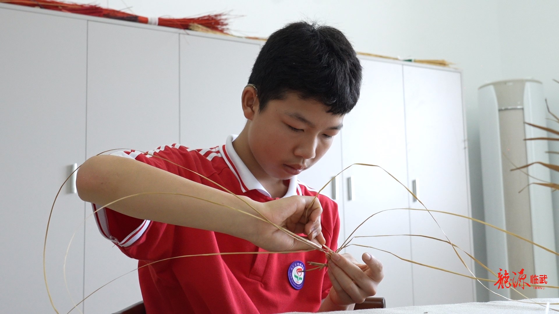 新时代临武好少年 | 曹丙昊：无声世界的逐光少年