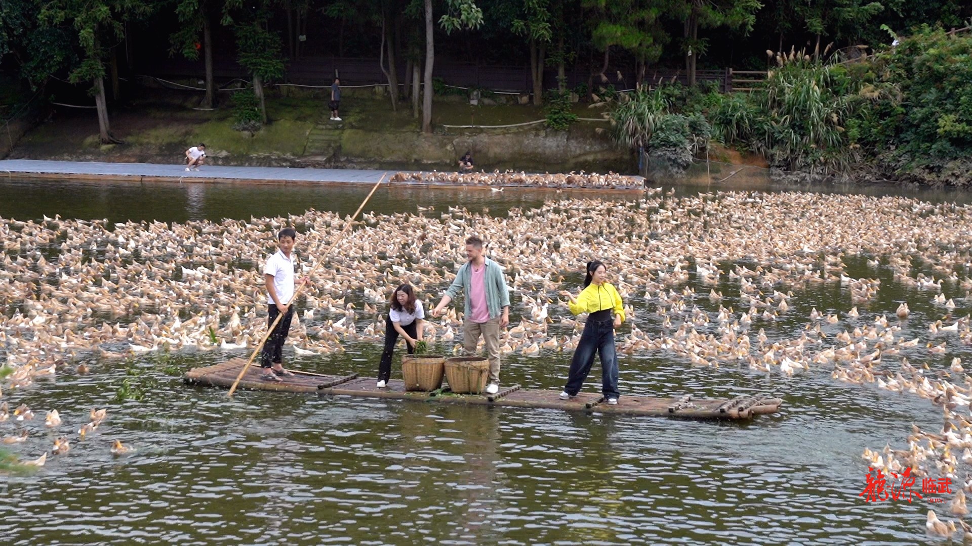 《主厨湘遇记》栏目组走进临武 探寻临武鸭美食文化