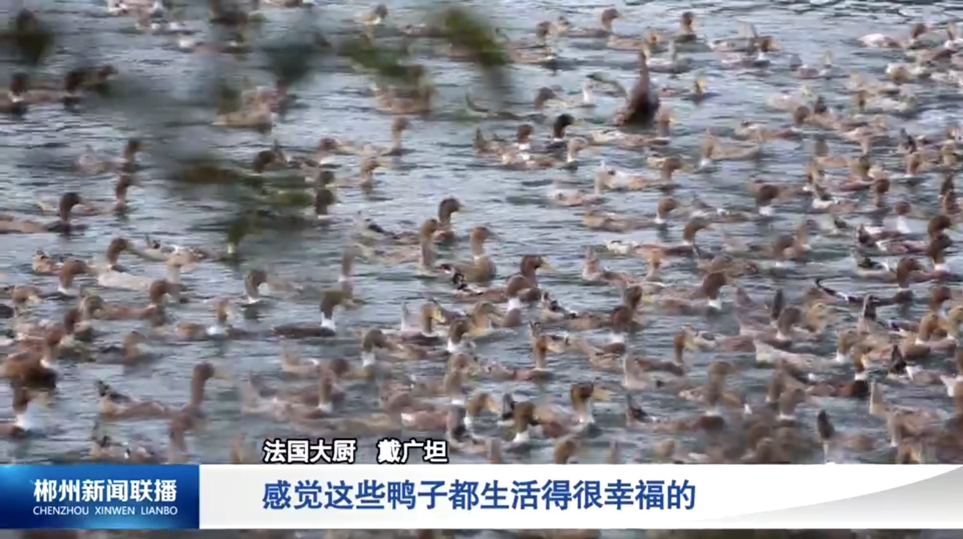 【郴州新闻联播】湖南卫视《主厨湘遇记》郴州站开拍：法国大厨探秘郴州美食烟火
