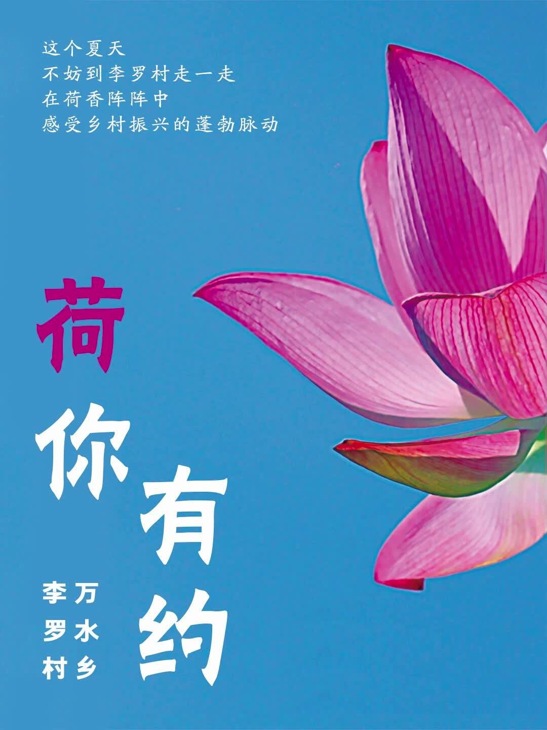万水乡李罗村·荷你有约