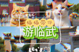 貓貓帶你游臨武