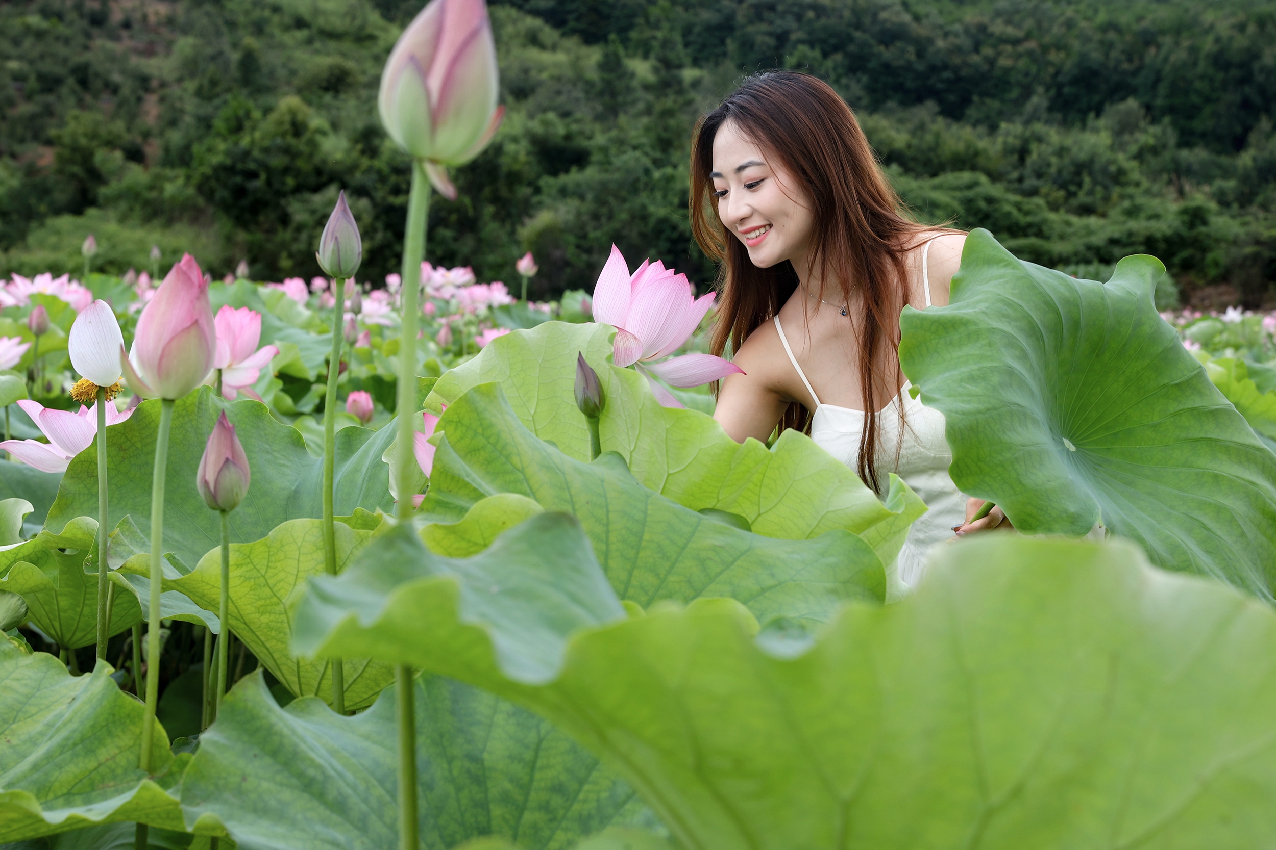 【新湖南】风动荷香