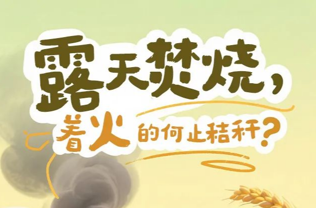 露天焚烧，“着火”的何止秸秆？