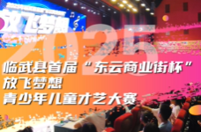 精彩瞬间｜2025年临武县首届“东云商业街杯”放飞梦想青少年儿童才艺大赛 现代舞·中国舞决赛