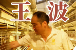 體育老師的“雞”密科技