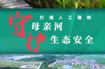 打造人工濕地：守護母親河生態(tài)安全