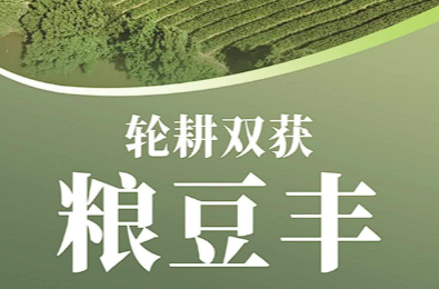 臨武汾市：土地“輪班干” 一地雙收糧豆?jié)M倉
