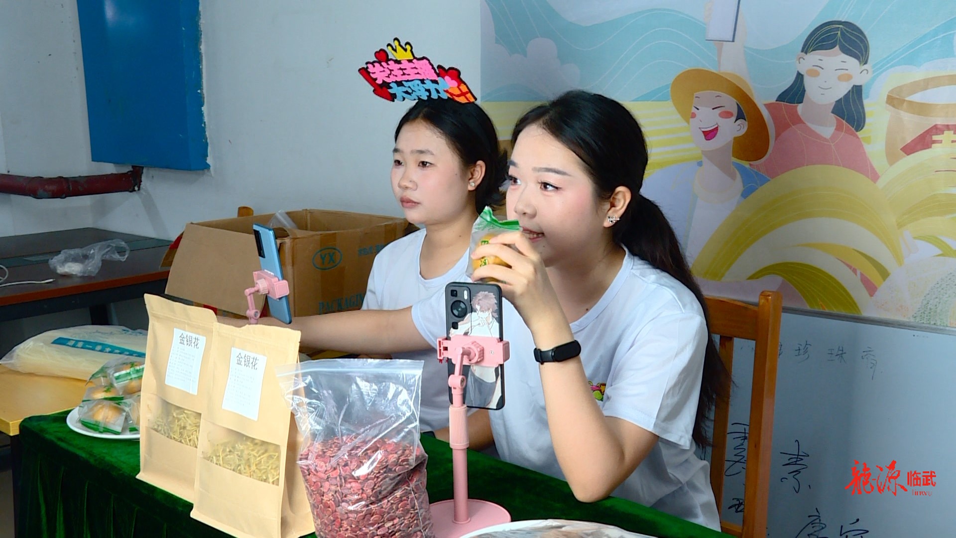 青春力量助農(nóng)帶貨！臨武大學(xué)生電商直播創(chuàng)業(yè)挑戰(zhàn)大賽開賽